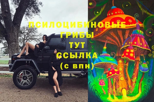 крисы Навашино