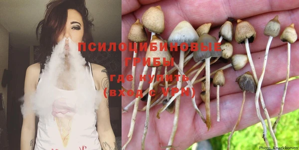 Альфа ПВП Нея