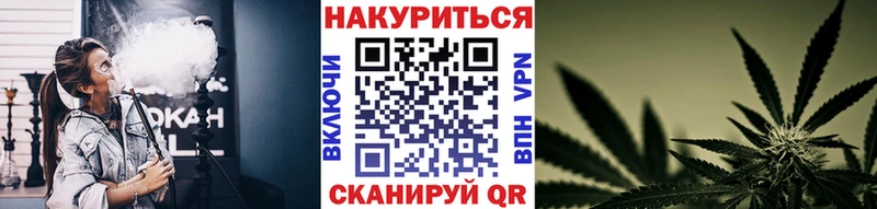 Марихуана планчик  Купить где  Уфа 